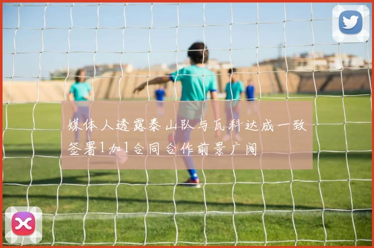 媒体人透露泰山队与瓦科达成一致签署1加1合同合作前景广阔